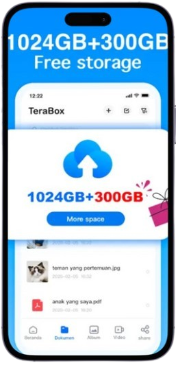 Terabox Main